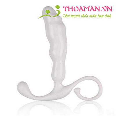 Que kích hậu môn cao cấp